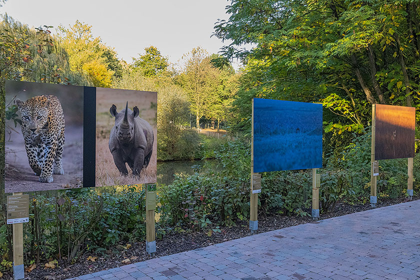 Photo-Fine-Art-Exhibition-Muenster-Zoo-03